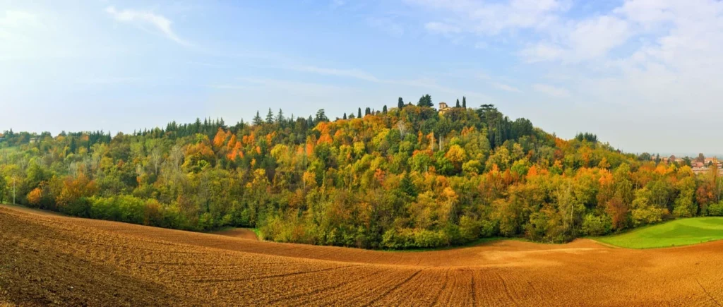 Albinea-colline-autunno