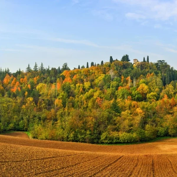Albinea-colline-autunno